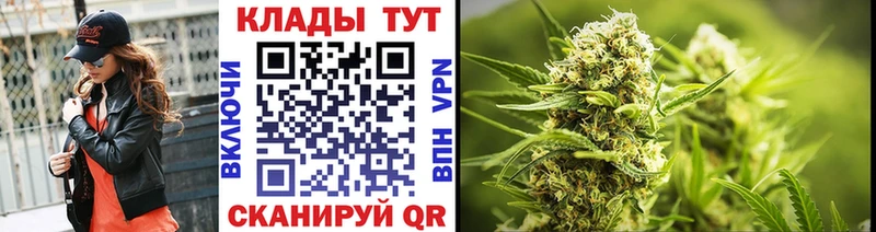 Виды наркотиков купить Шенкурск Амфетамин  APVP  Меф  Каннабис  Кокаин  ГАШ 