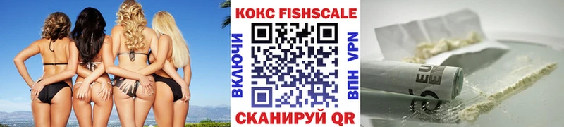 COCAIN Fish Scale где продают наркотики дарк нет наркотические препараты Шенкурск OMG вход