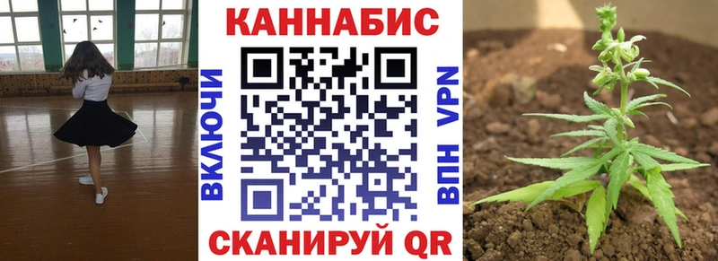 наркота  Шенкурск  Канабис LSD WEED 